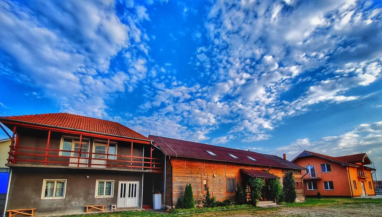 Pensiunea Sanziana Hotel Oradea Exterior photo